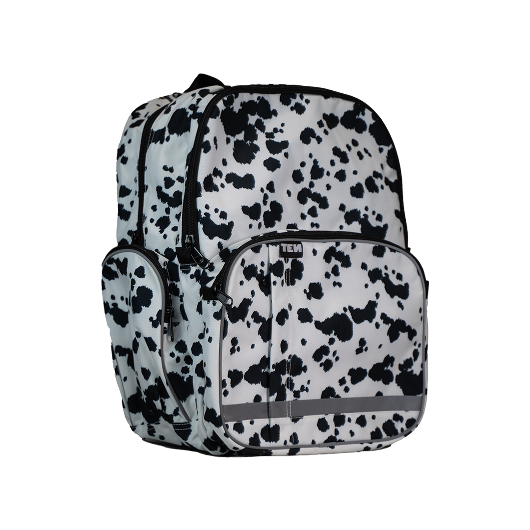 Large Pag-asa - Dalmatian